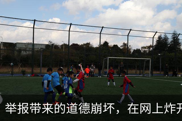 举报带来的道德崩坏，在网上炸开了！